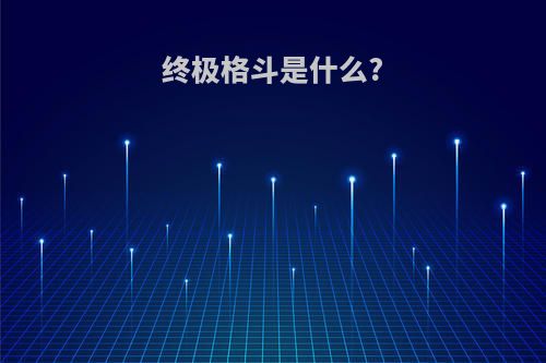 终极格斗是什么?