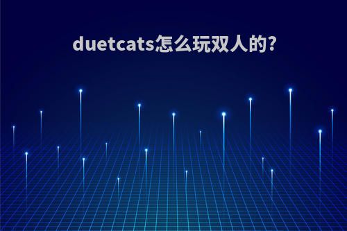 duetcats怎么玩双人的?