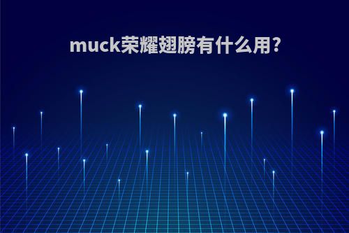 muck荣耀翅膀有什么用?