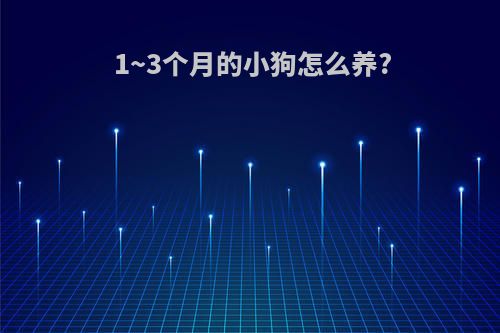 1~3个月的小狗怎么养?