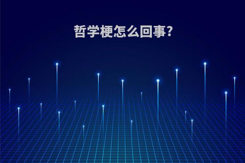 哲学梗怎么回事?