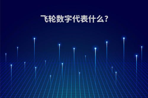 飞轮数字代表什么?