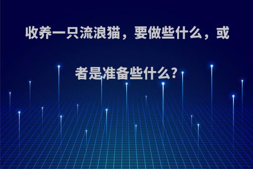 收养一只流浪猫，要做些什么，或者是准备些什么?