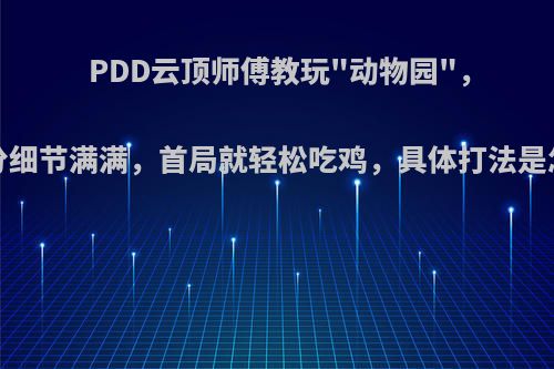 PDD云顶师傅教玩