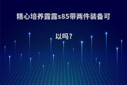 精心培养露露s85带两件装备可以吗?