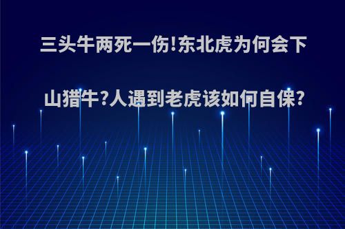 三头牛两死一伤!东北虎为何会下山猎牛?人遇到老虎该如何自保?