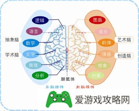 打麻将有哪些方法能够提高胜算?(打麻将如何提高胜率)