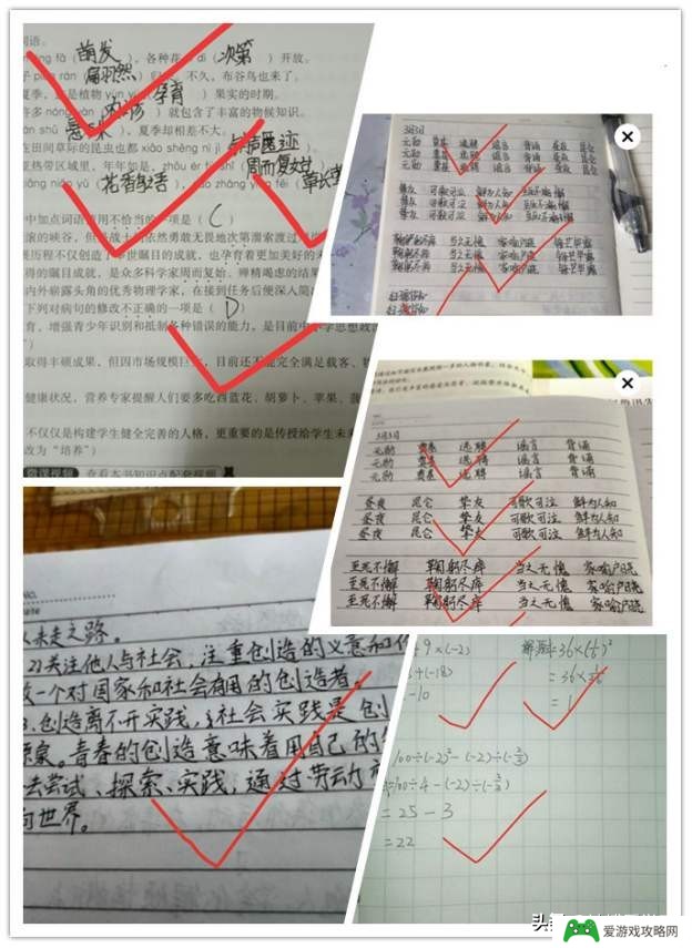 线上教学如何做到课后辅导?(线上教学如何做到课后辅导的)