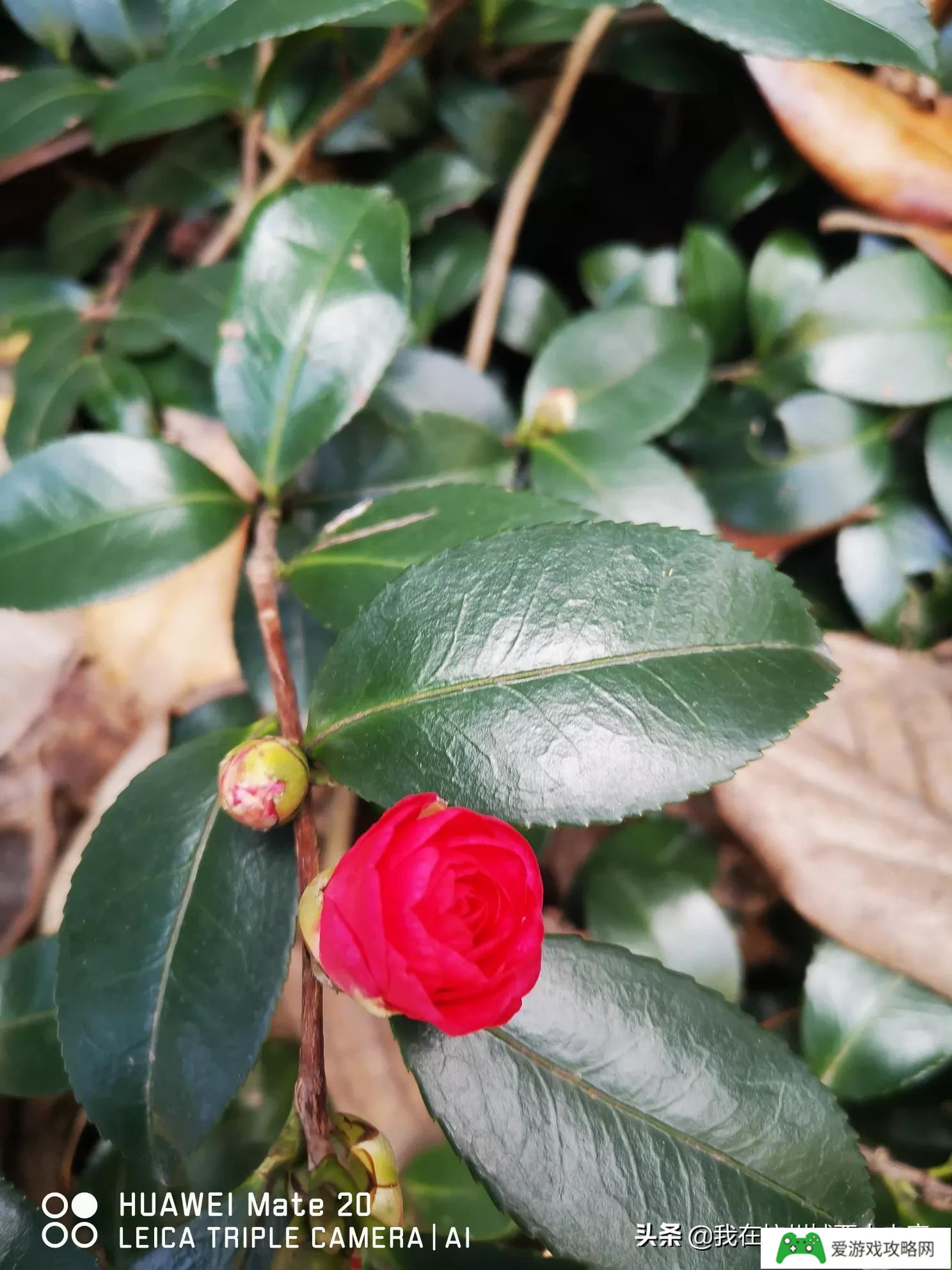 姐弟恋需要怎么做才能打消女方的顾虑?(姐弟恋该怎么维持)