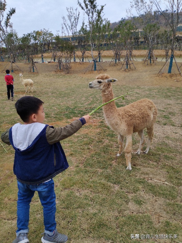 养娃好像打怪升级，好不容易到3岁上幼儿园以为通关了，发现还有各种兴趣班亲子活动等着，什么时候能通关?